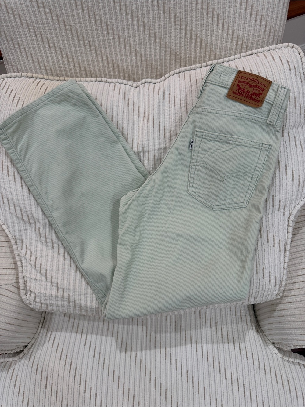 Levi’s 94 Baggy Corduroy Pants Mint Sage Green Size 26 Mid High Rise